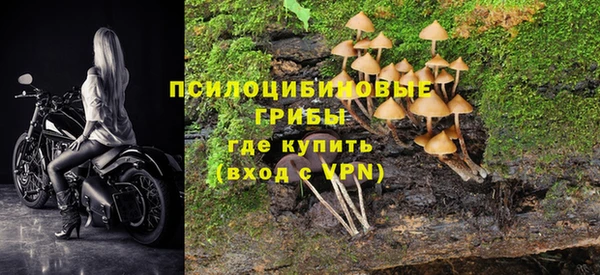 прущий лед Аркадак