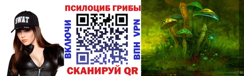 наркошоп  Новая Ляля  Псилоцибиновые грибы Magic Shrooms 